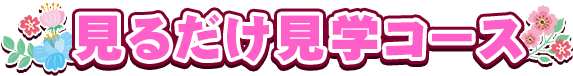 見るだけ見学コース