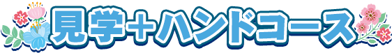見学+ハンドコース