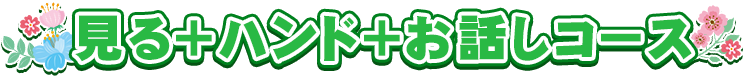見る+ハンド+お話しコース