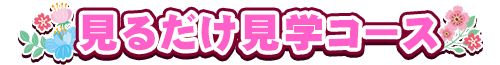 見るだけ見学コース