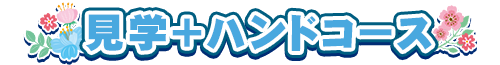 見学+ハンドコース