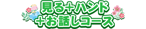 見る+ハンド+お話しコース