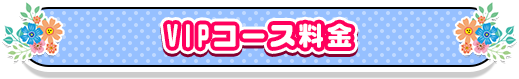 VIPコース料金