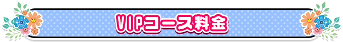 VIPコース料金