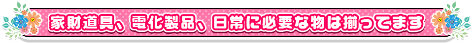 家財道具、電化製品、日常に必要な物は揃ってます