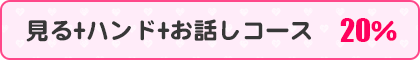 見る+ハンド+お話しコース20%