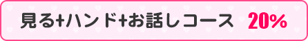 見る+ハンド+お話しコース20%