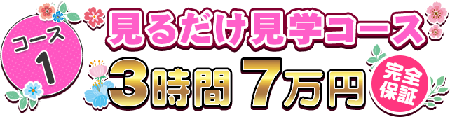 コース1 見るだけ見学コース 3時間7万円 完全保証