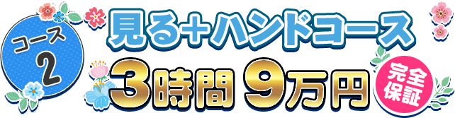 コース2 見る+ハンドコース 3時間9万円 完全保証