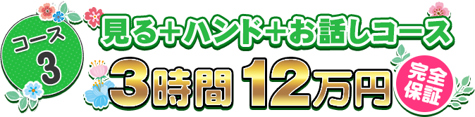 コース3 見る+ハンド+お話しコース 3時間12万円 完全保証