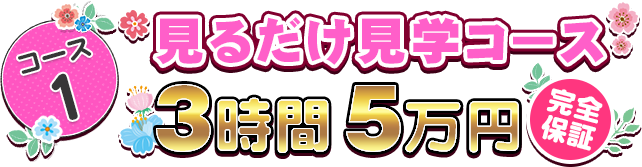 コース1 見るだけ見学コース　3時間5万円　完全保証