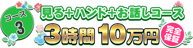 コース3 見る+ハンド+お話しコース 3時間10万円完全保証